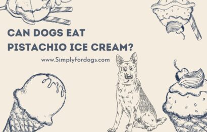 can-dogs-eat-pistachio-ice-cream