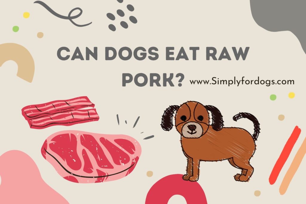 can-dogs-eat-raw-pork-simply-for-dogs