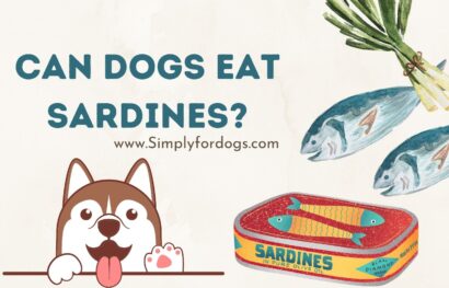 can-dogs-eat-sardines