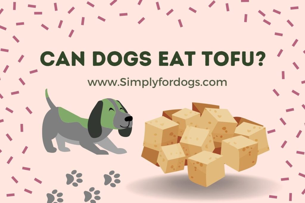 Can Dogs Eat Tofu? (Is It Dangerous?) Simply For Dogs