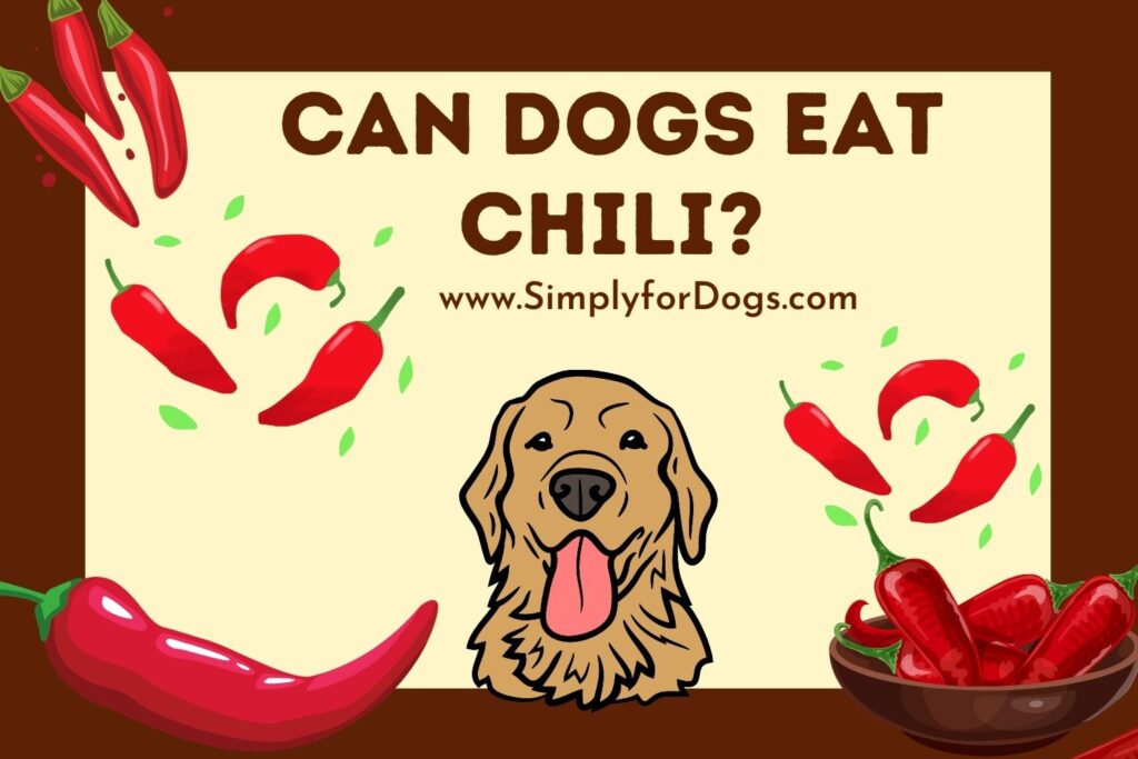Can Dogs Eat Chili? [NO, BUT WHY?] Simply For Dogs