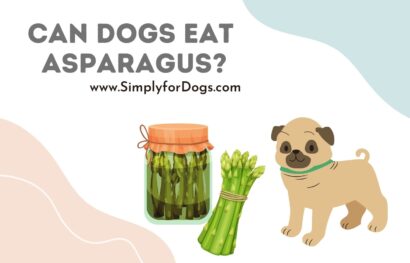 can dogs eat asparagus