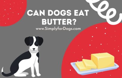 can dogs eat butter