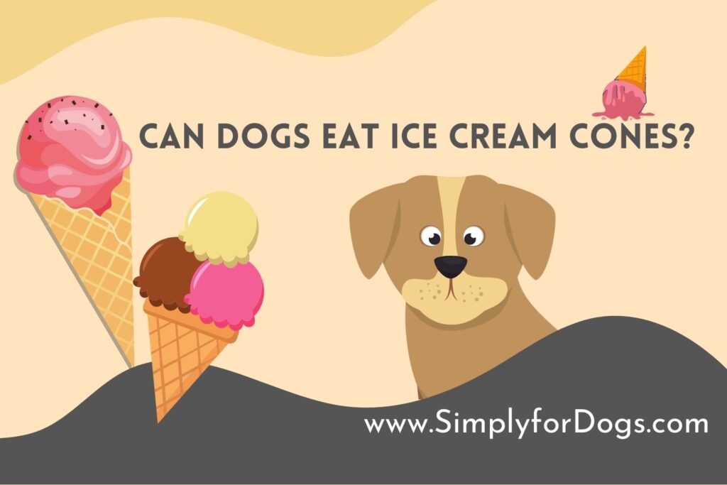 Can Dogs Eat Ice Cream Cones? (Health Tips) Simply For Dogs