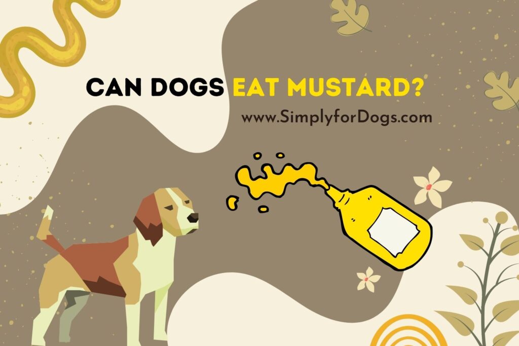 Can Dogs Eat Mustard? (Benefits, Risks, & More) Simply For Dogs