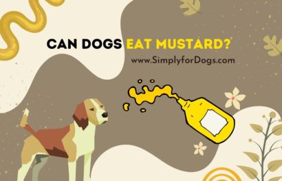 can dogs eat mustard