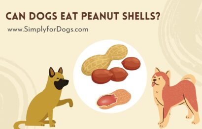 can-dogs-eat-peanut-shells