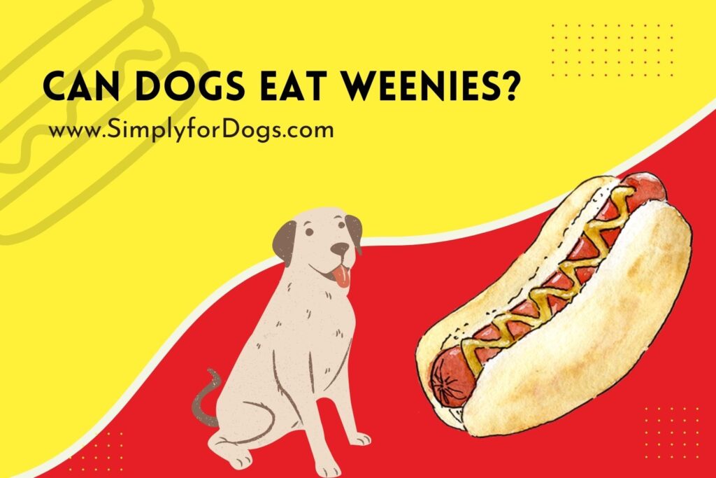 can dogs eat weenies