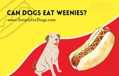 can-dogs-eat-weenies