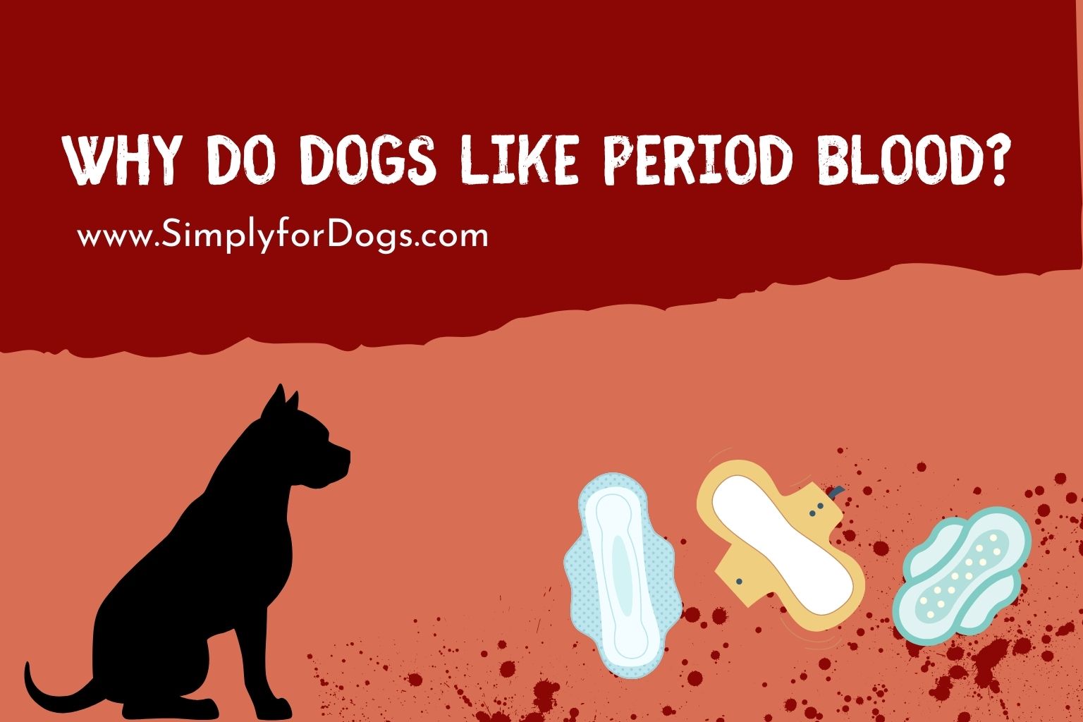 why-do-dogs-like-period-blood