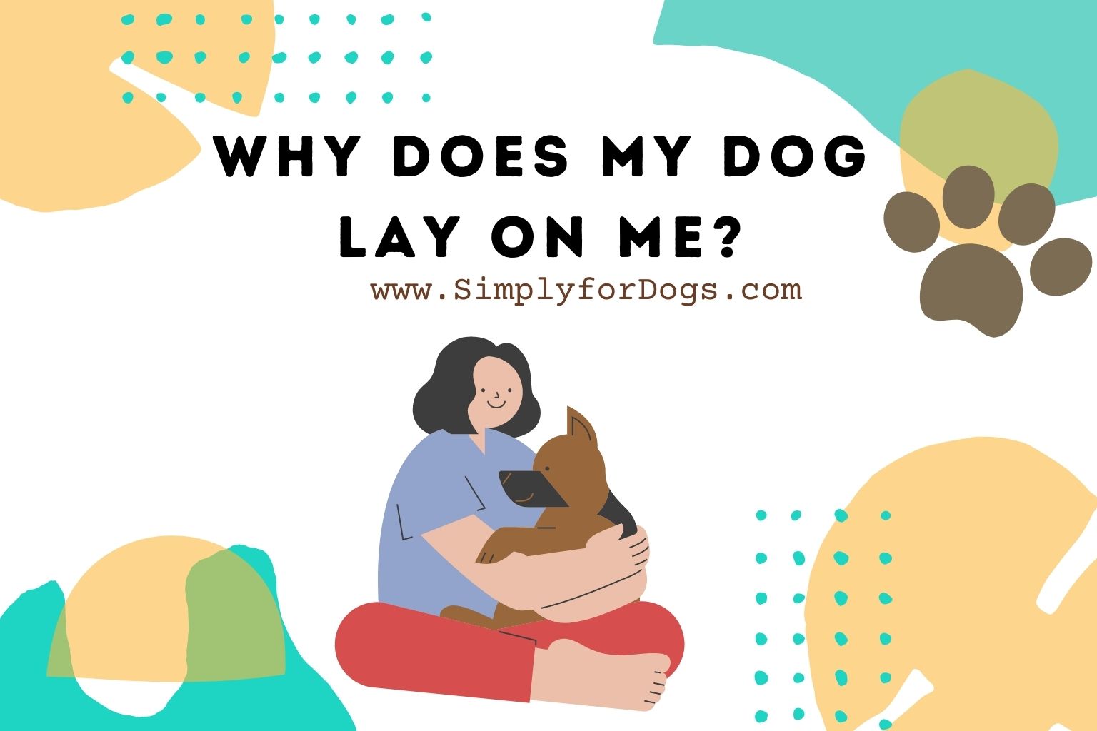 Why Does My Dog Lay On Me? (Reasons and Care) Simply For Dogs