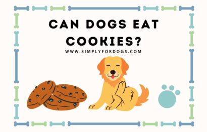 can dogs eat cookies