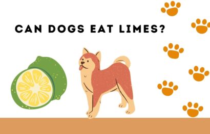 can dogs eat limes