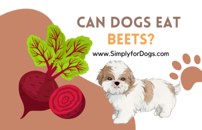 Can Dogs Eat Beets