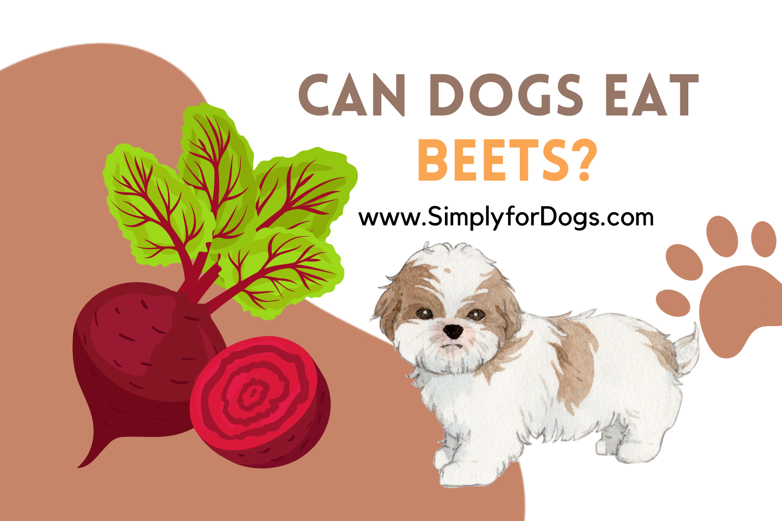 Dogs store eat beets