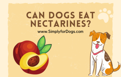 Can Dogs Eat Nectarines