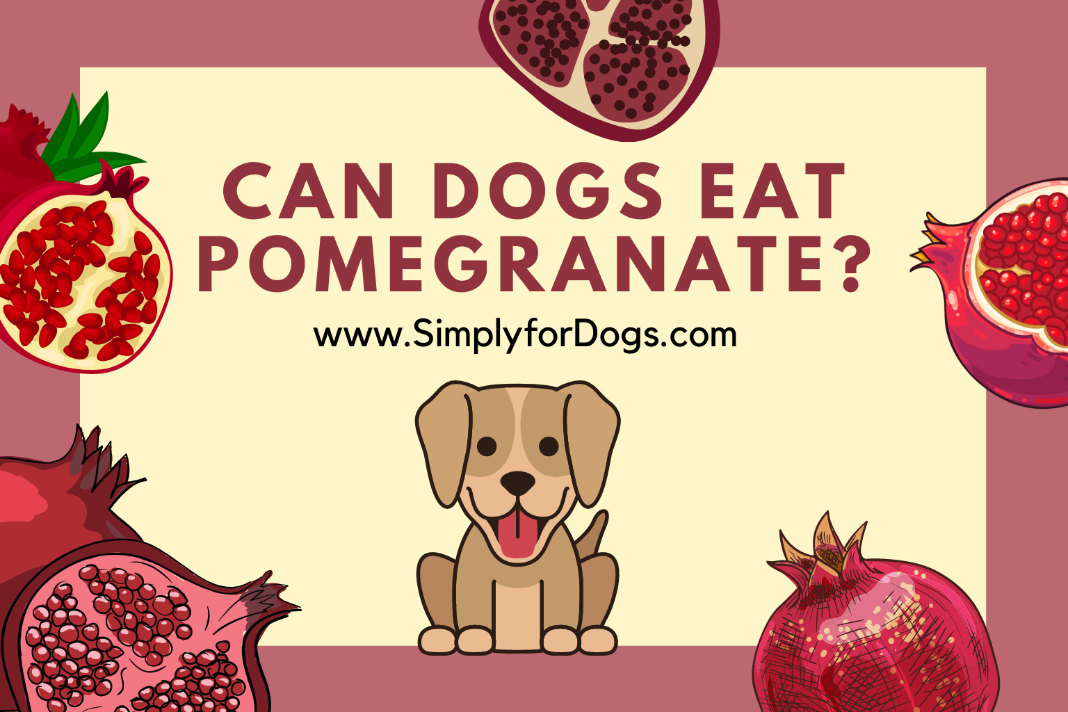 Can Dogs Eat Pomegranate