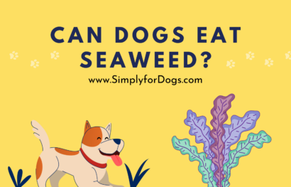 Can dogs eat seaweed