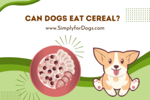 can dogs eat cereal