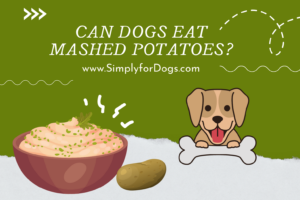 can dogs eat mashed potatoes