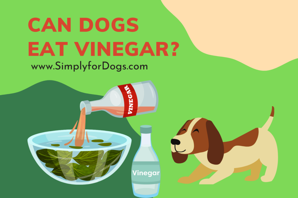 Can Dogs Eat Vinegar? [Know Before You Do Anything Wrong!]