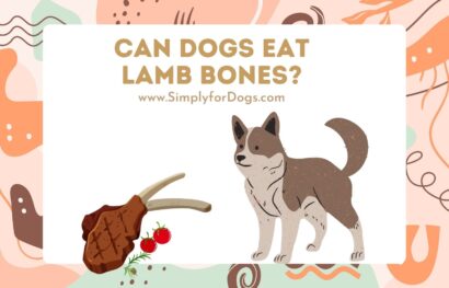 can dogs eat lamb bones