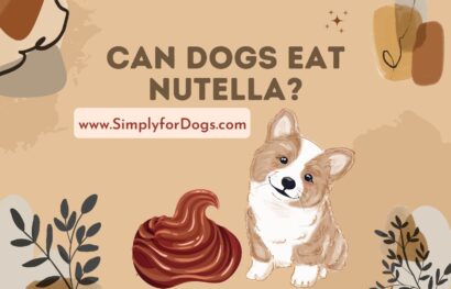 Can Dogs Eat Nutella