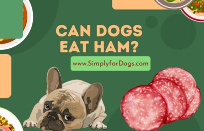 can dogs eat ham