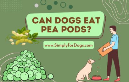 can dogs eat pea pods